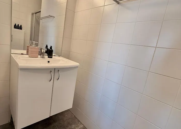 In-ski Out With Sauna And Modern Mountain Comfort Appartement Hemsedal
